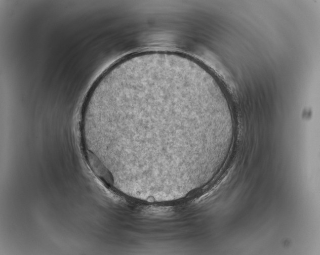 X0000097601325200803211650