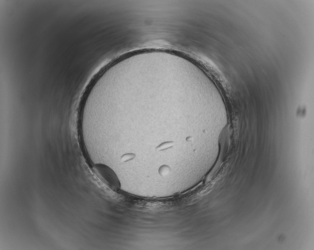X0000097601326200803211650