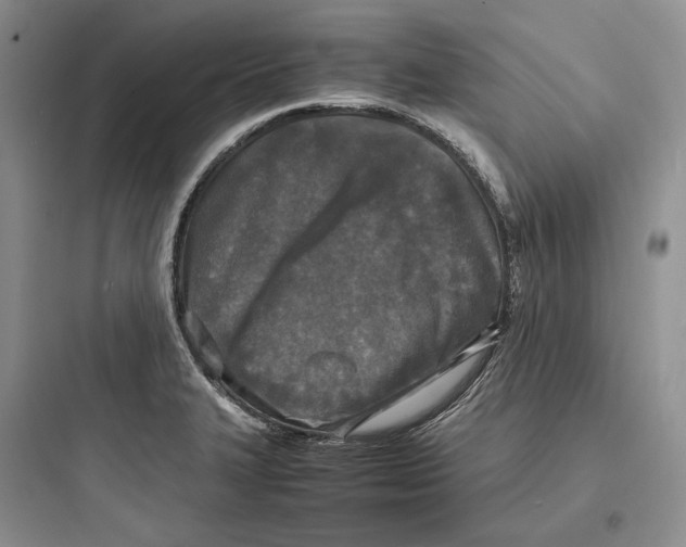 X0000097601327200803211650