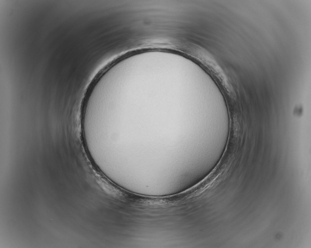 X0000097601328200803211650