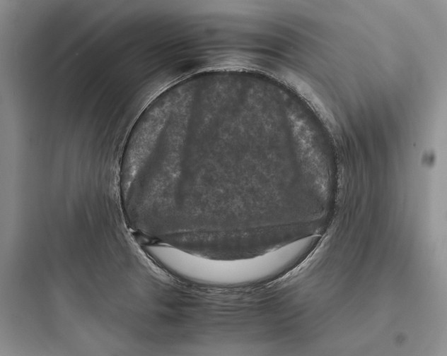 X0000097601329200803211650