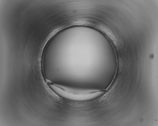 X0000097601330200803211650