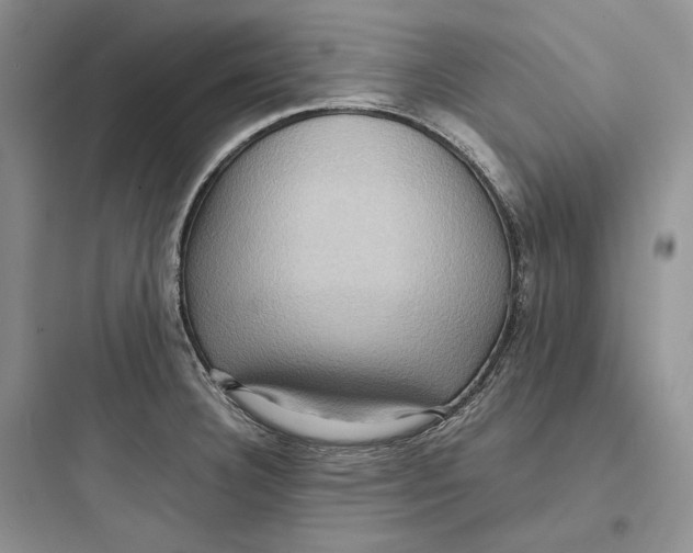 X0000097601332200803211650