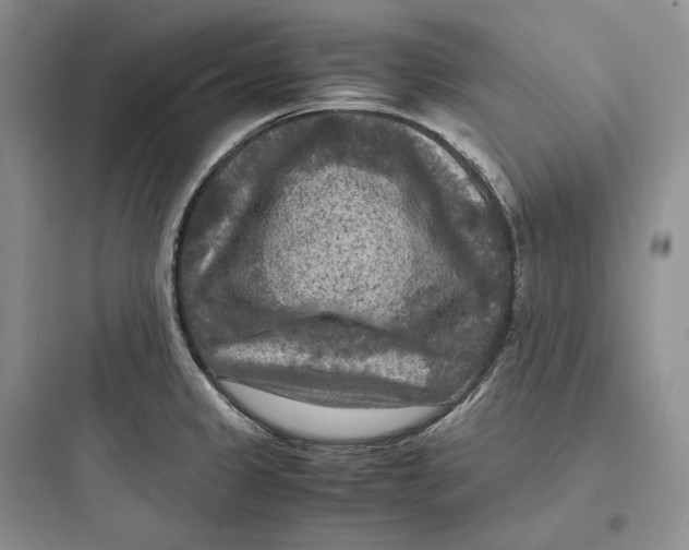 X0000097601333200803211650