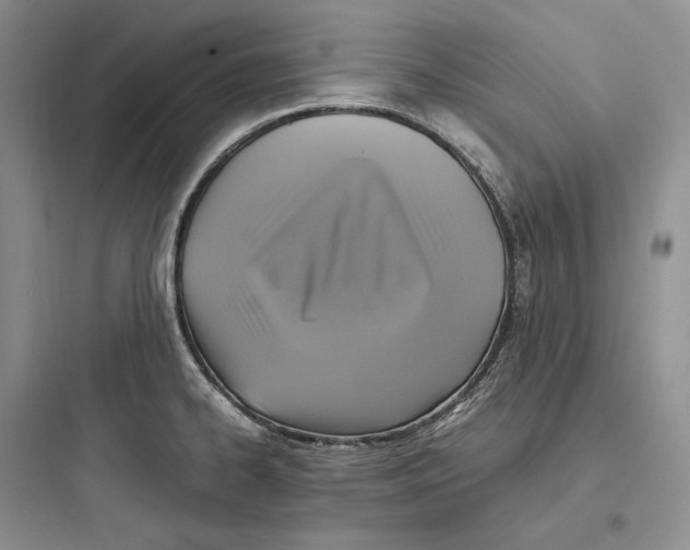 X0000097601334200803211651