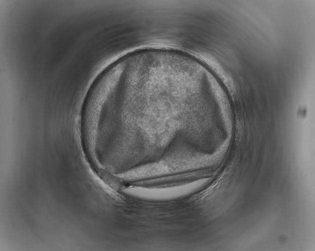 X0000097601335200803211651