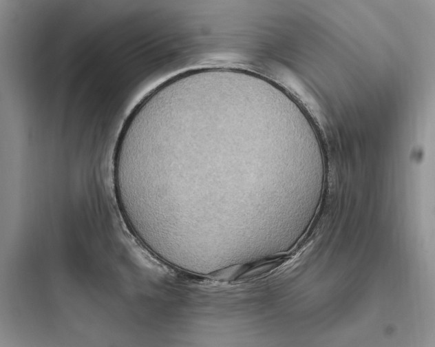 X0000097601336200803211651