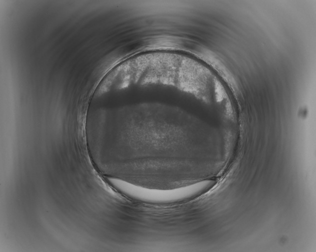 X0000097601337200803211651