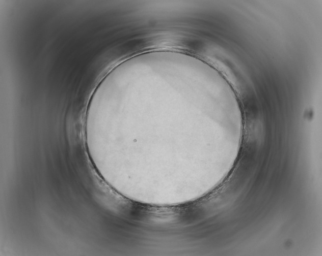 X0000097601338200803211651
