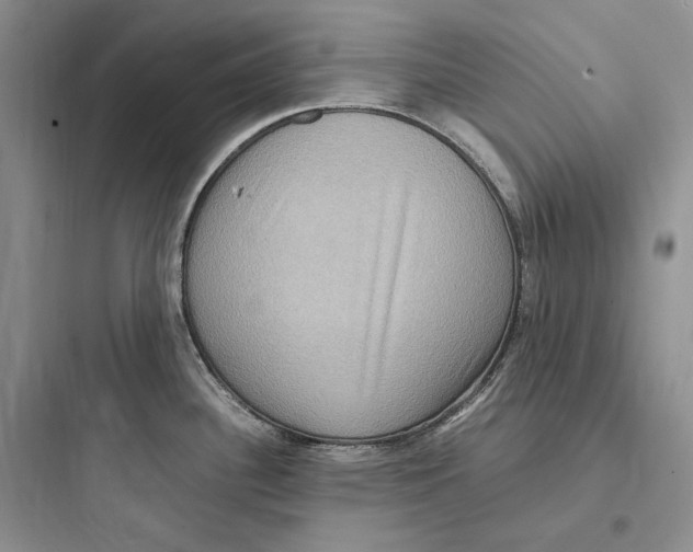 X0000097601340200803211651