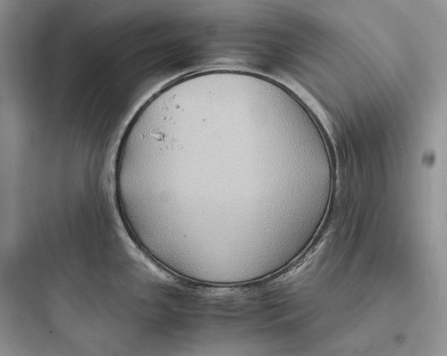 X0000097601341200803211651