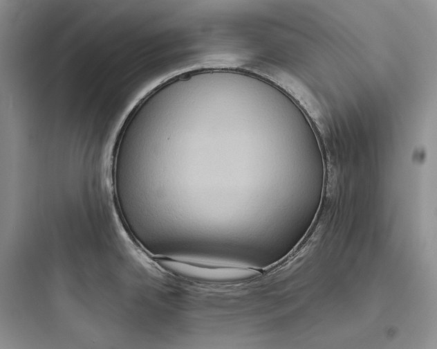 X0000097601342200803211651
