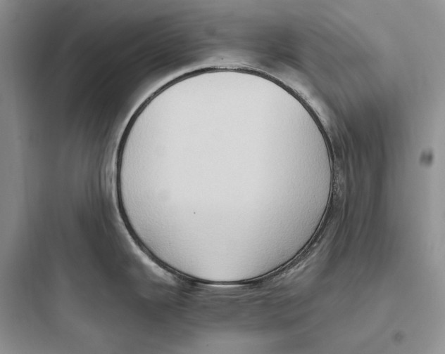 X0000097601343200803211651
