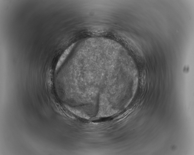 X0000097601346200803211650