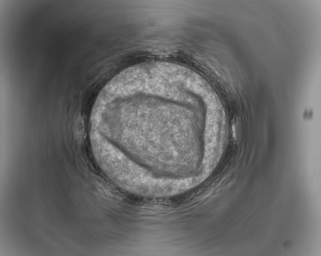 X0000097601347200803211650