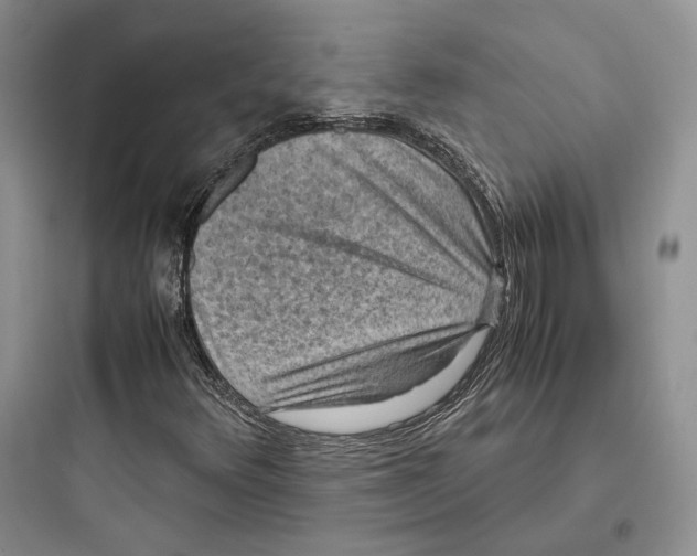 X0000097601348200803211650