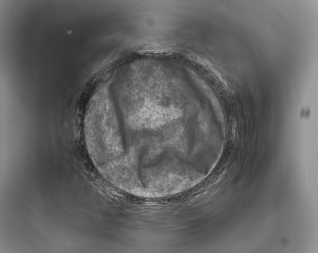 X0000097601350200803211650
