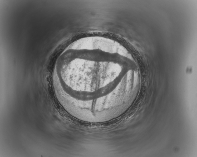 X0000097601351200803211650
