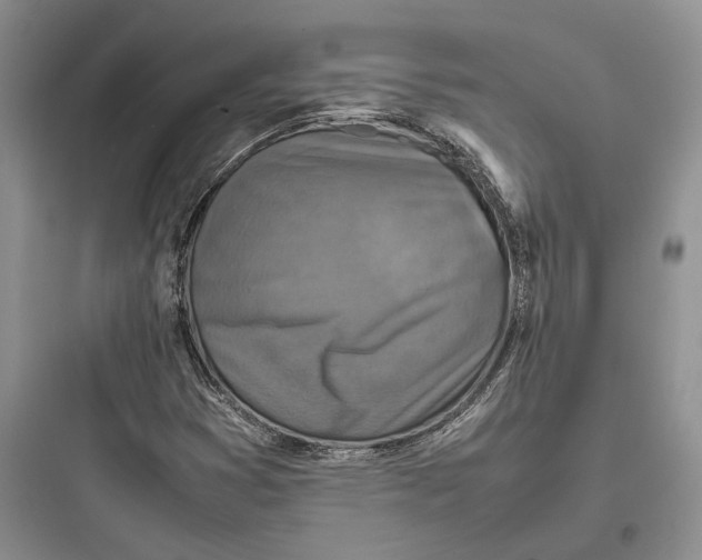 X0000097601353200803211650