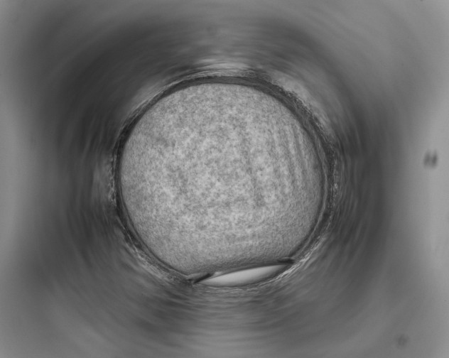 X0000097601354200803211650
