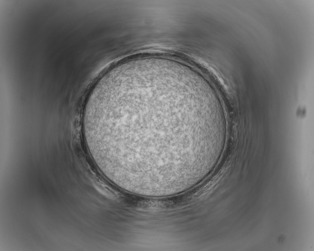 X0000097601355200803211650