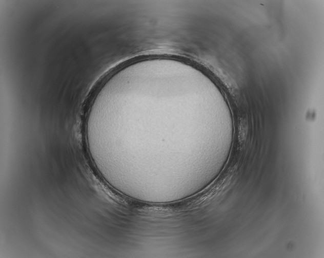 X0000097601356200803211650
