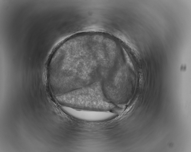 X0000097601358200803211650