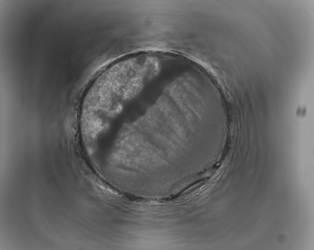 X0000097601359200803211650