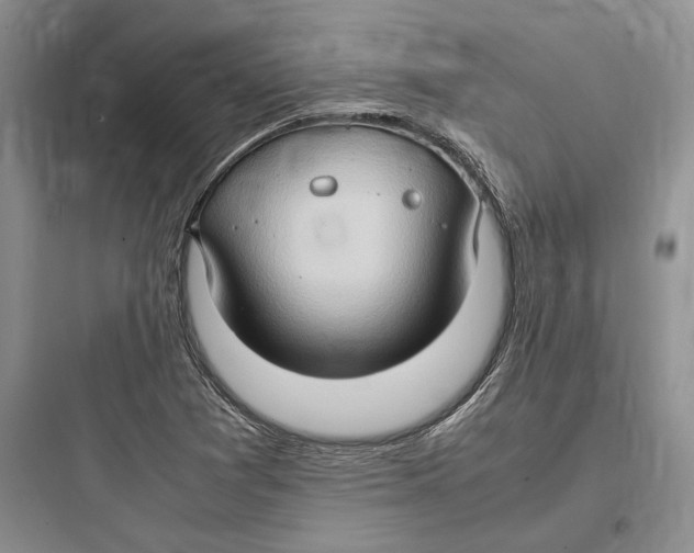 X0000097601361200803211650