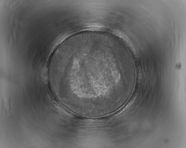 X0000097601362200803211650