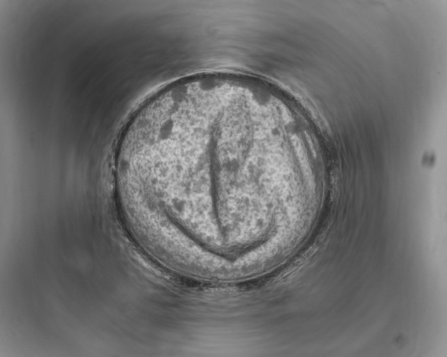 X0000097601363200803211650