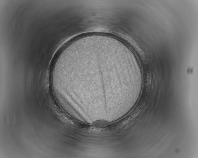 X0000097601364200803211650