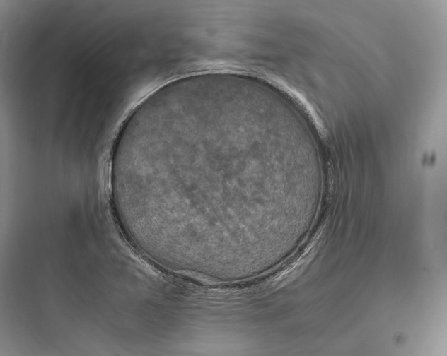 X0000097601365200803211650
