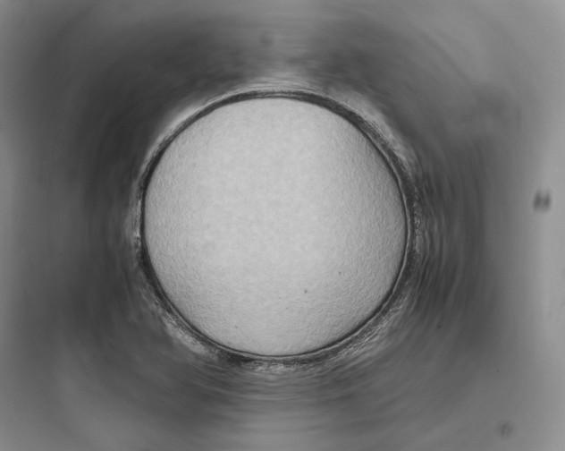 X0000097601366200803211650