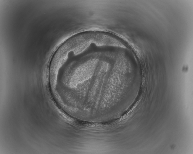X0000097601367200803211650