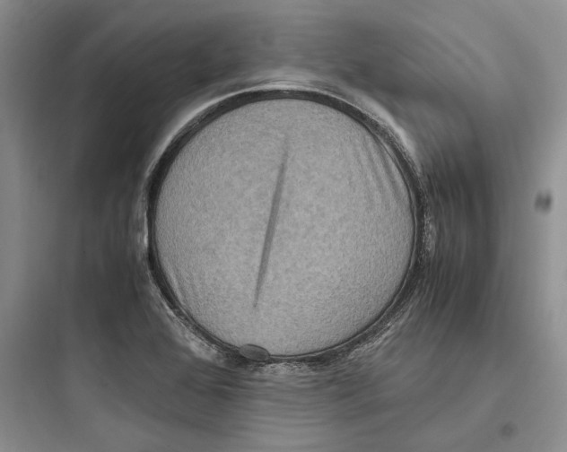 X0000097601368200803211649
