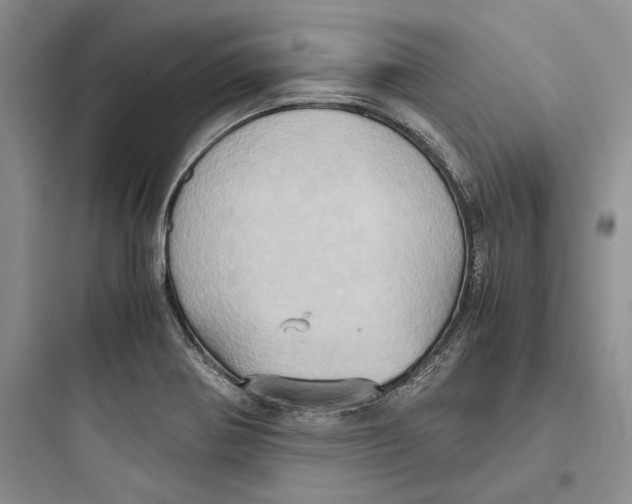 X0000097601370200803211649