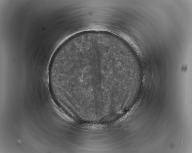 X0000097601372200803211649