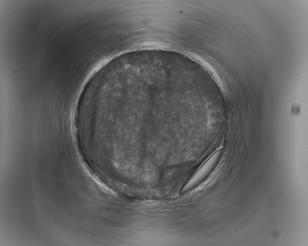 X0000097601373200803211649