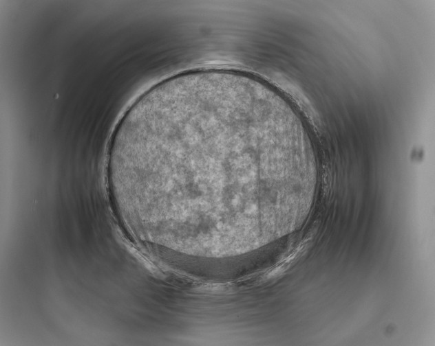 X0000097601374200803211649