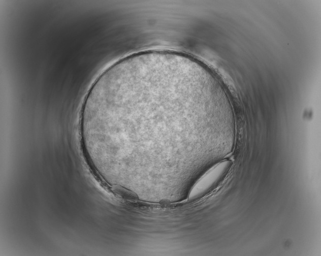 X0000097601375200803211649
