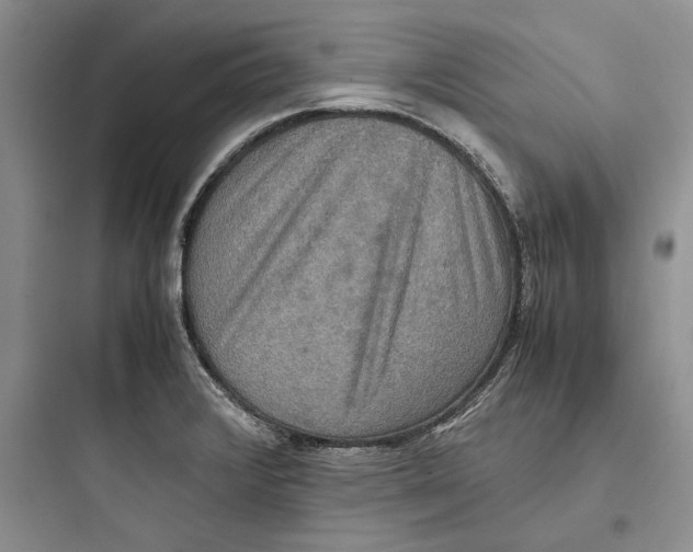 X0000097601376200803211649