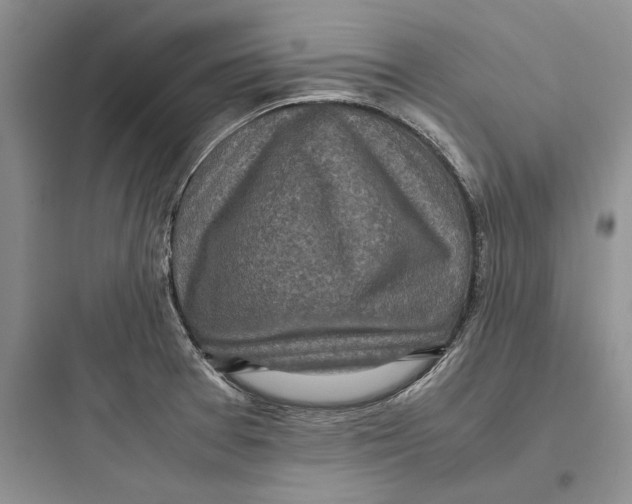 X0000097601377200803211649