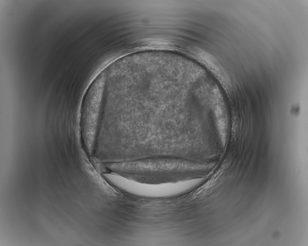 X0000097601378200803211649