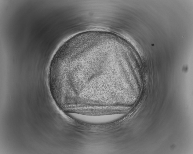 X0000097601379200803211649