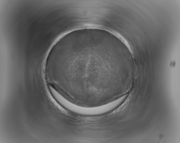 X0000097601381200803211649