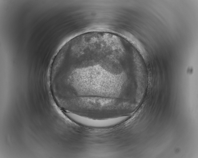 X0000097601382200803211649