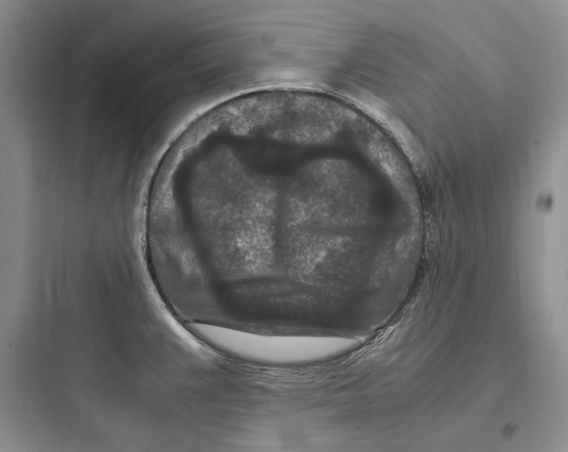 X0000097601383200803211649