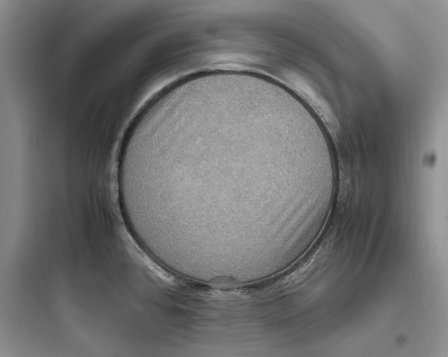X0000097601384200803211649