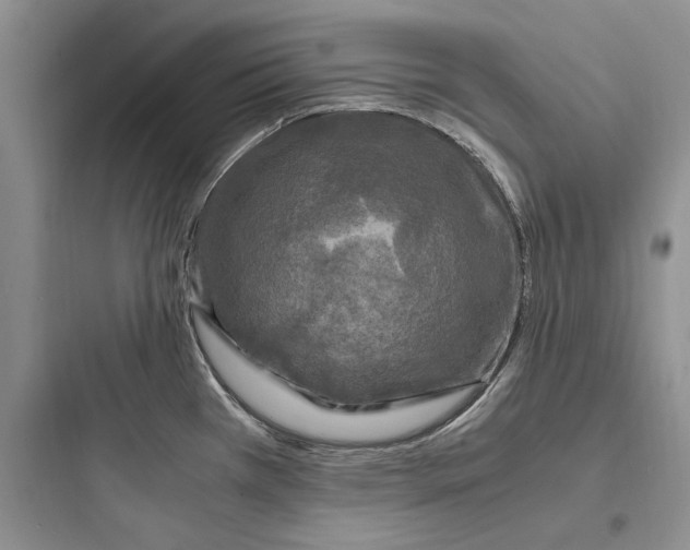 X0000097601385200803211649
